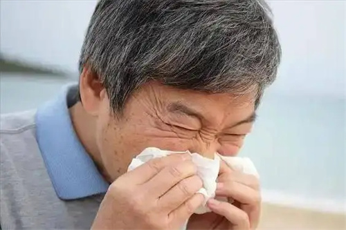 图片细节